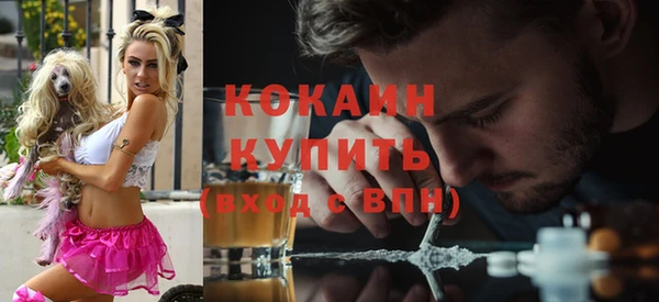дживик Аркадак