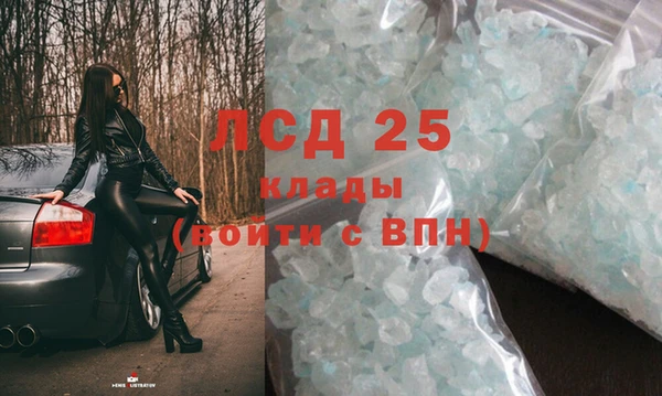 дживик Аркадак